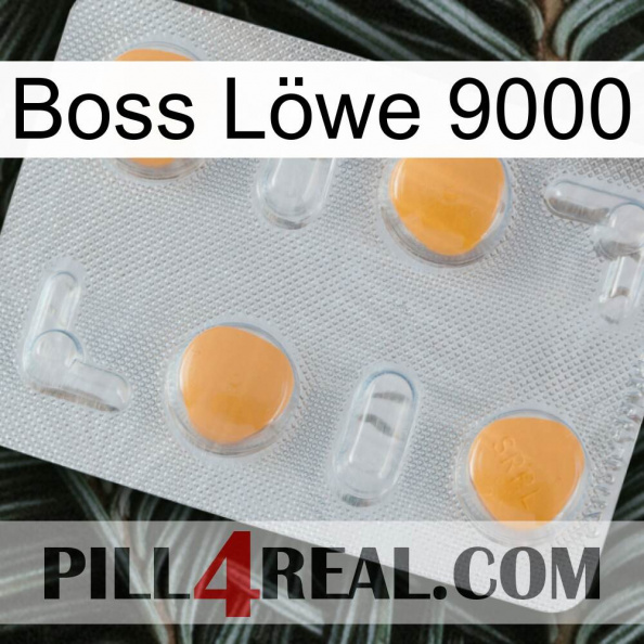 Boss Löwe 9000 24.jpg